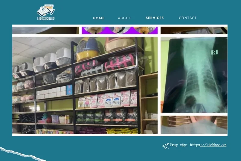 Phòng Khám Thú Y Pet Farm