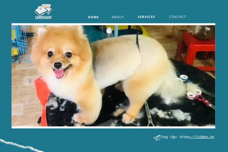 Thú Y Bình Long - Hớn Quản