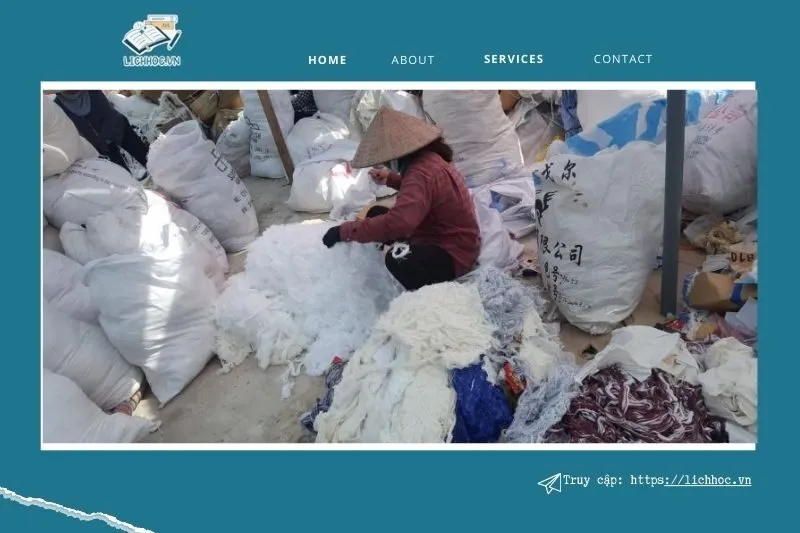 Công ty TNHH TM – DV Bảo Đại – Dịch vụ chuyên nghiệp