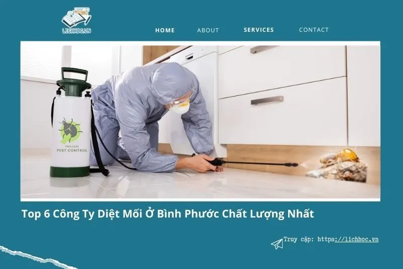 Top 6 công ty diệt mối ở Bình Phước - Giải pháp bảo vệ công trình hiệu quả