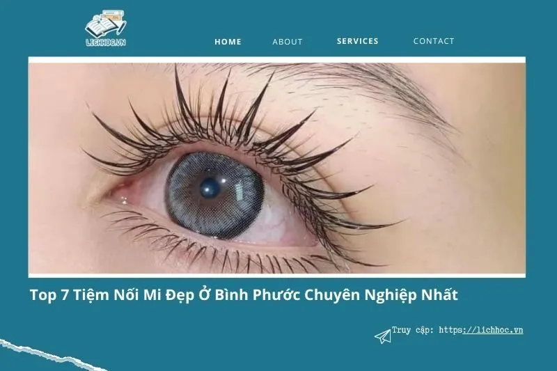 Top 7 địa chỉ nối mi ở Bình Phước: Đẹp tự nhiên, bền lâu và giá tốt