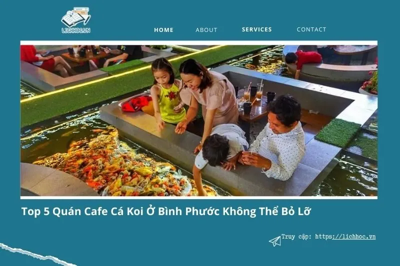 Top 5 quán cafe cá Koi ở Bình Phước đẹp, chill, đáng trải nghiệm