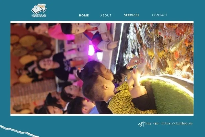 Royal Koi Coffee Garden – Không gian rộng, hồ cá Koi cực đẹp